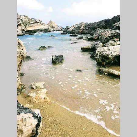 The Budget Aparment * Naxxar